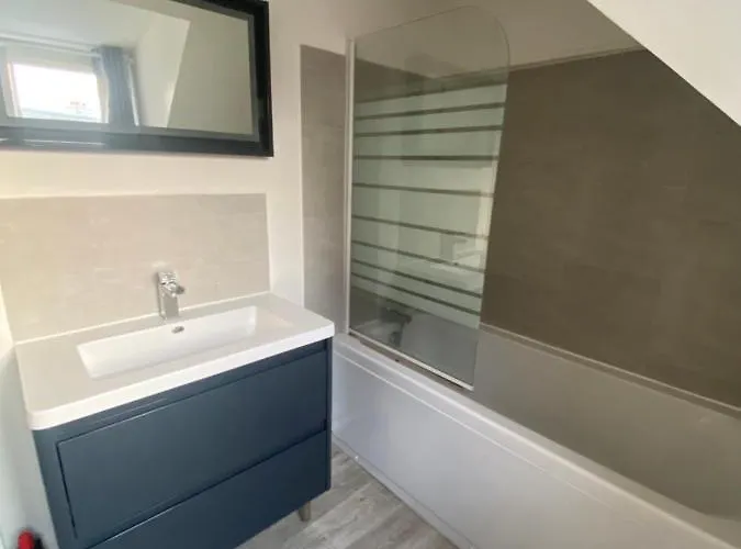 Le Stud' Joli Lumineux En Plein Centre Apartment *